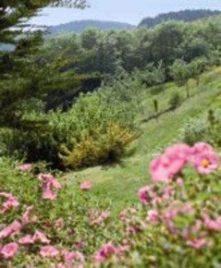 Jardin la Boulaye